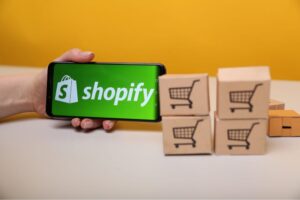 Shopify Data Entry