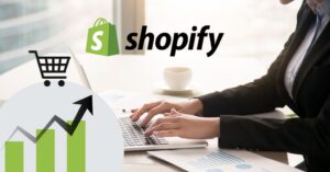 Shopify Product Data Entry